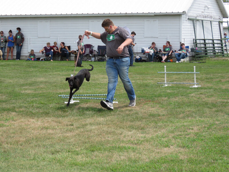 Dog agility, Kyle Chop, Ravenna